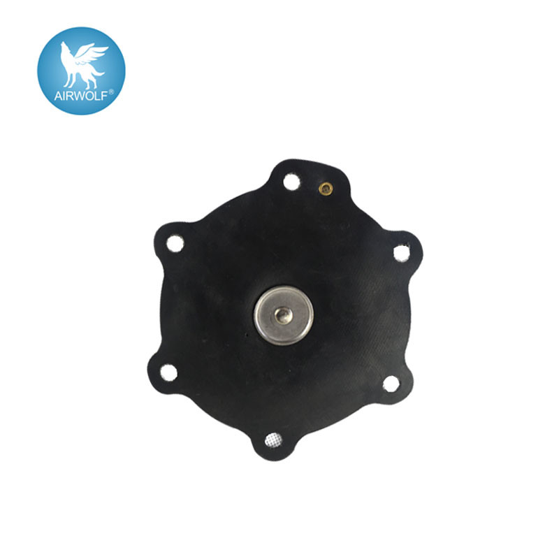 C113684 NBR FKM Diaphragm Repair Kit For G353A049