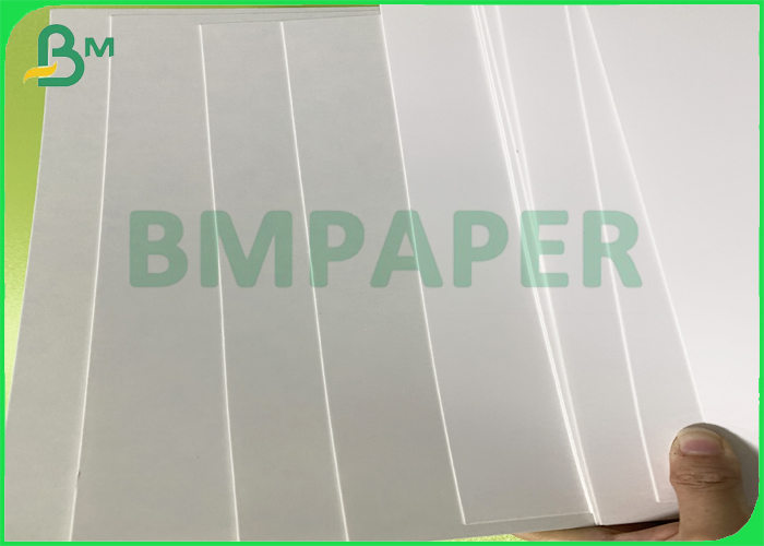 Coated Container Board
