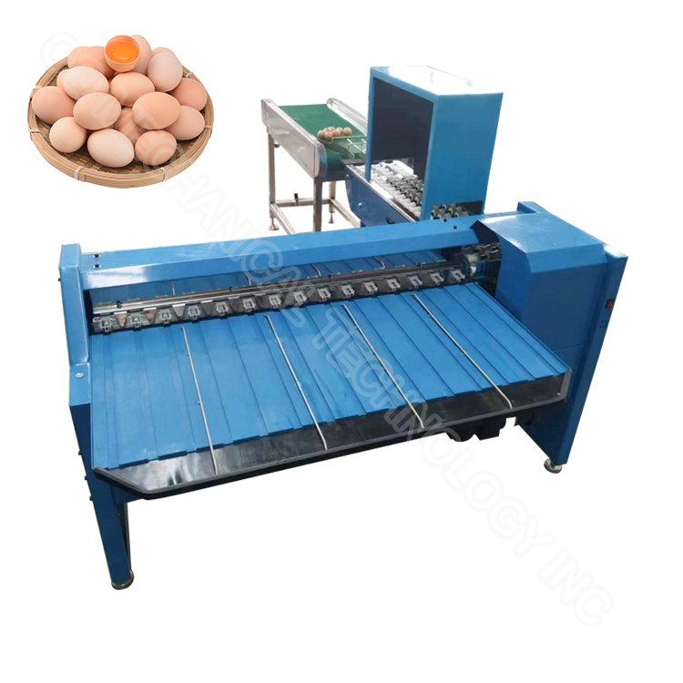 Egg Weight Sorter Machine Egg Size Sorting Machine Chicken Egg Sorting Machine