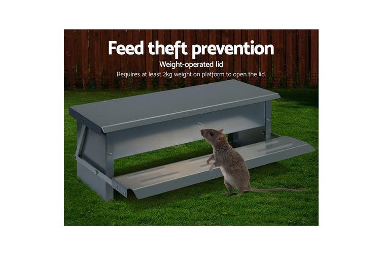 CE 10kgs L48cm Automatic Timer Chicken Feeder