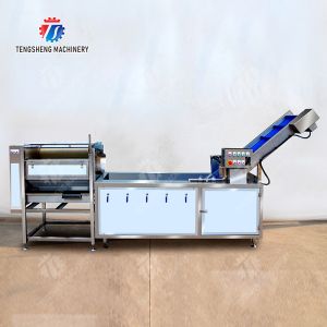 Citrus Stalk Eliminated Lemon Processing Machinery Industrial Air Bubble Brush