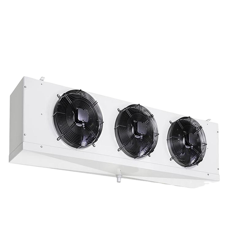 Display walk in cooler with customized glass door 30*75''