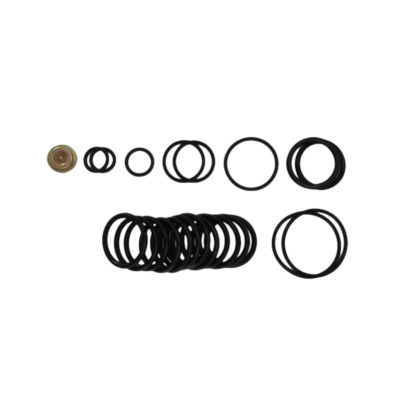 Oilfield AS568 NBR FKM Rubber Seal Kits #10 Setting Tool