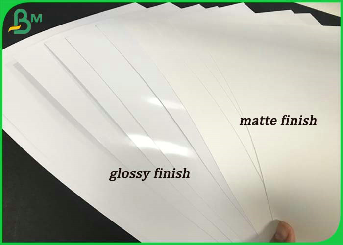 Single Sided RC Coated Inkjet Photographic Photo Paper Rolls for Poster
