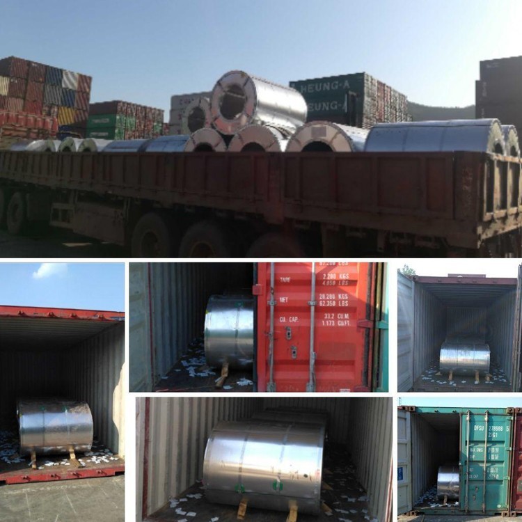 ASTM SGCC Q235 Color Prepainted Galvanized Steel Coil