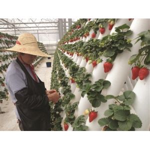  Expertise Hydroponics Aeroponics &amp; Aquaponics System Consultancy Mentoring Facilities Manufactures