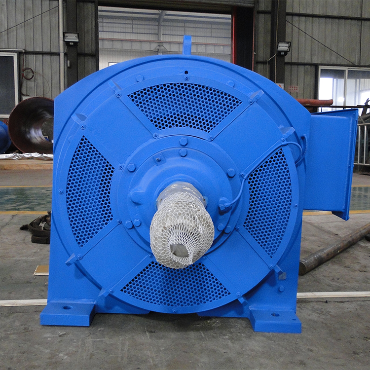 High Efficiency Customized Pelton Turbine Generator With Stainless Steel Runner