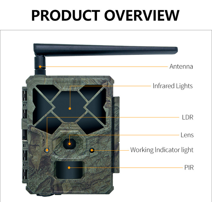 Monitor Wildlife 4G wireless Trail Camera APP Remote Remote low price 18650 battery long working time