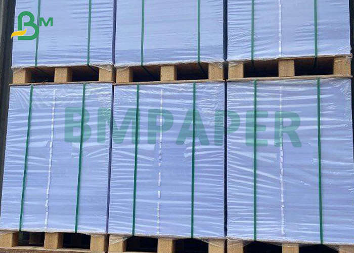 Photographic Paper