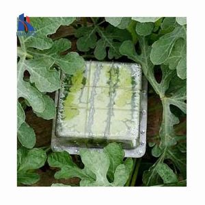 Plastic custom Heart-Shaped Watermelon Growth Forming Shaping Mold