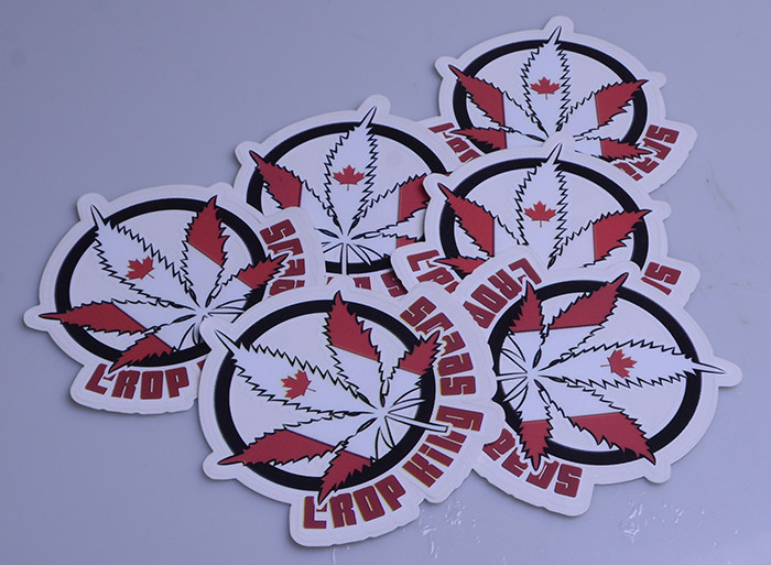Customized outdoor use UV resistant die cut decal sticker individual sheet