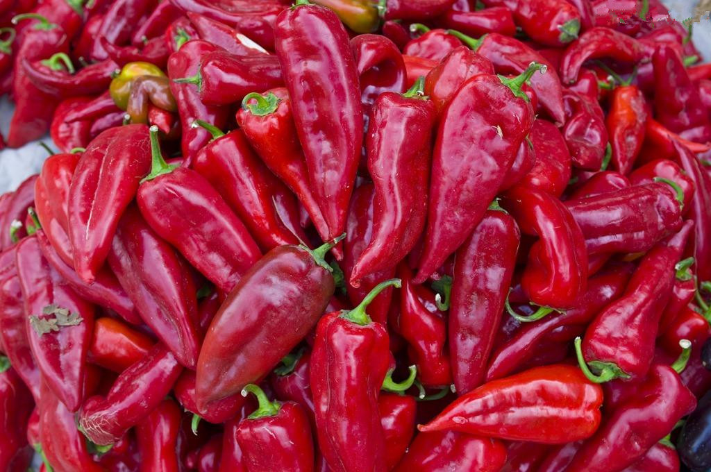 HACCP Dried Paprika Peppers Single Herb Stemless Dried Whole Red Chilies
