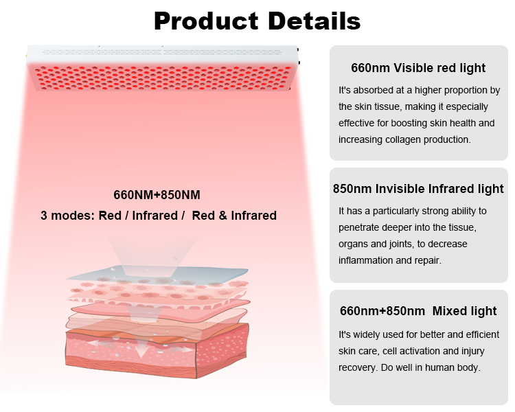 PDT Red Light Therapy Panel For Full Body 660 850 Ratio 1000W