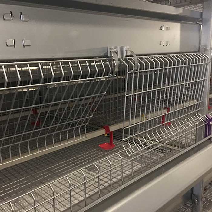 192 Birds Fully Automatic Baby Chick Battery Poultry Cage For Raise Chicken