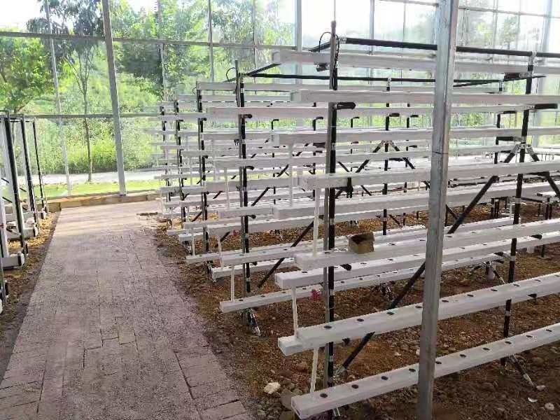 commercial NFT hydroponic growing system greenhouse NFT hydroponic channel