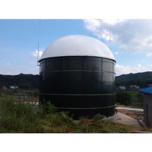 Design Of Anaerobic Reactor In Global Biogas Plant Project