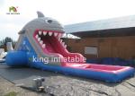  6m High Shark Inflatable Water Slide With Pool / Small Blow Up Slide For Kids Manufactures