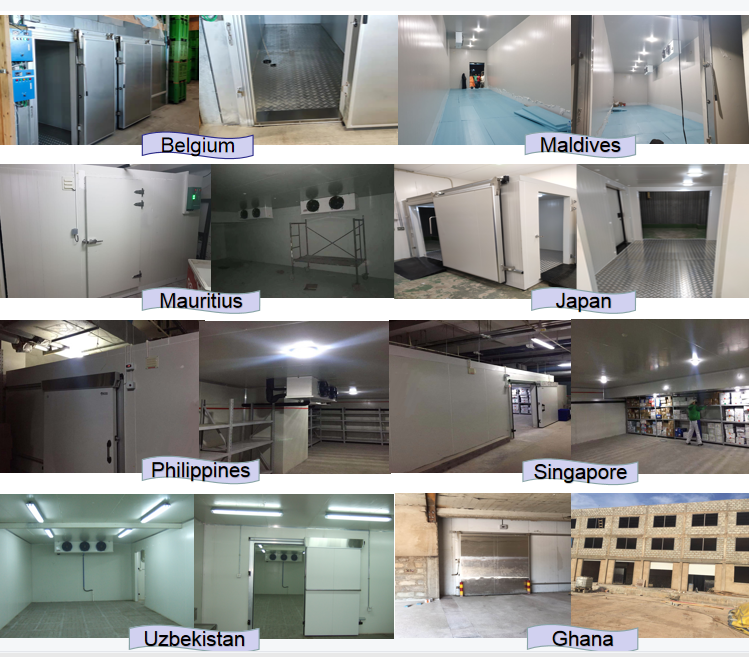 Poultry Meat Chicken Freezer Fish Cold Room Storage Walk In Freezer