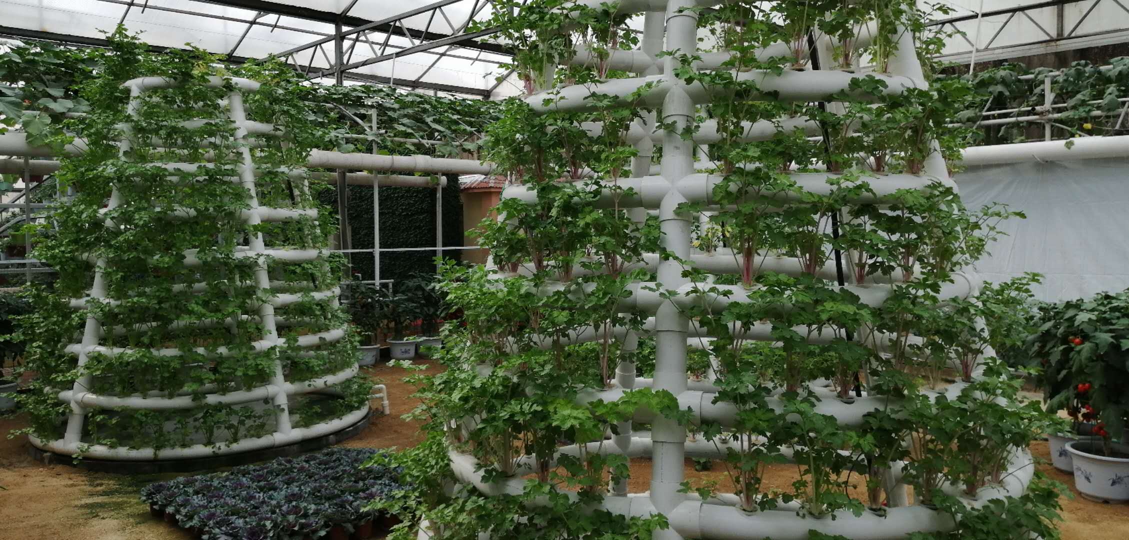 Hydroponic Tower Garden Hydroponics Growing Vegetable Aeroponic Tower