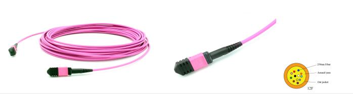 12 Fibers MTP Female To MTP Female OM4 3.0mm LSZH MTP Patch Cord Custom Meters