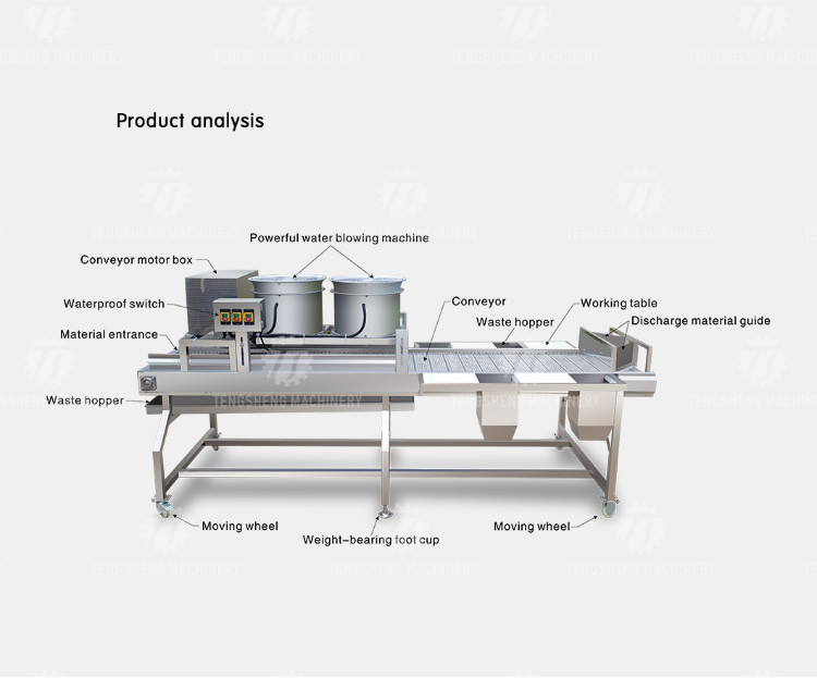 Industrial Cassava Tomato Vegetable Processing Machine Drying And Selection
