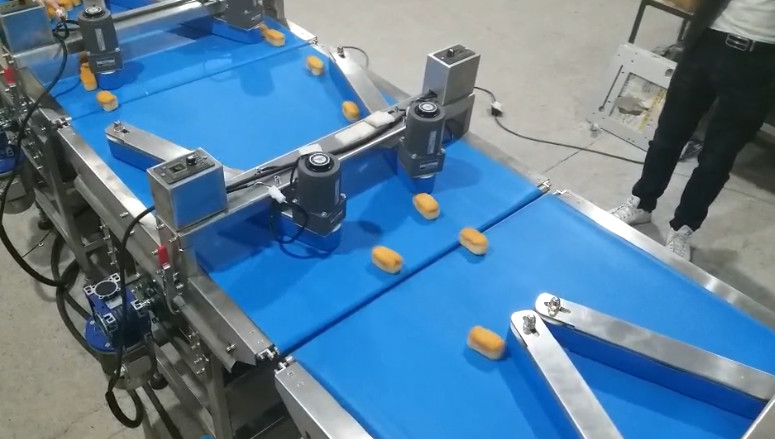 2.5kw Automatic Packing Machinery 700kg Sorting Auto Packaging Machine SN-250T