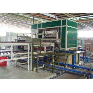 Automatic Pulp Moulding Egg Tray Machine with 6 Layer Drying Lines 3000pcs Per