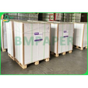 210g 240g White Food Tray Paper Material With PE Coating Bright White