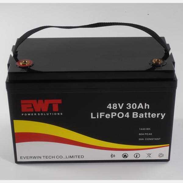 Smart Battery Pack Capacity Display With BMS 48V 30AH Support Factory OEM