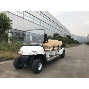 Installed With Plastic Cargo Box Small Electric Golf Carts 6 Seats Without Car Ceiling