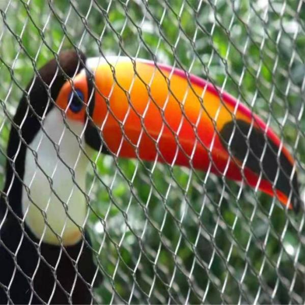 High Strength Stainless Steel Aviary Netting Bird Cage Various Sizes Can Be