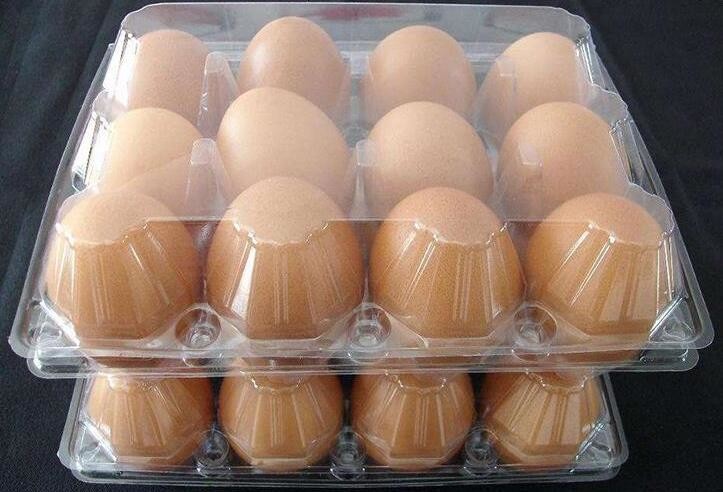 Meal Prep Containers Free Sample Bento Lunch Box Biodegradable Food Container Plastic Wheat Straw Lunch Box bagplastics