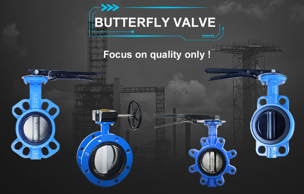 Medium Temperature DN100 Pn16 Asin Cast Iron Rubber Flapper Check Valve for OEM Support