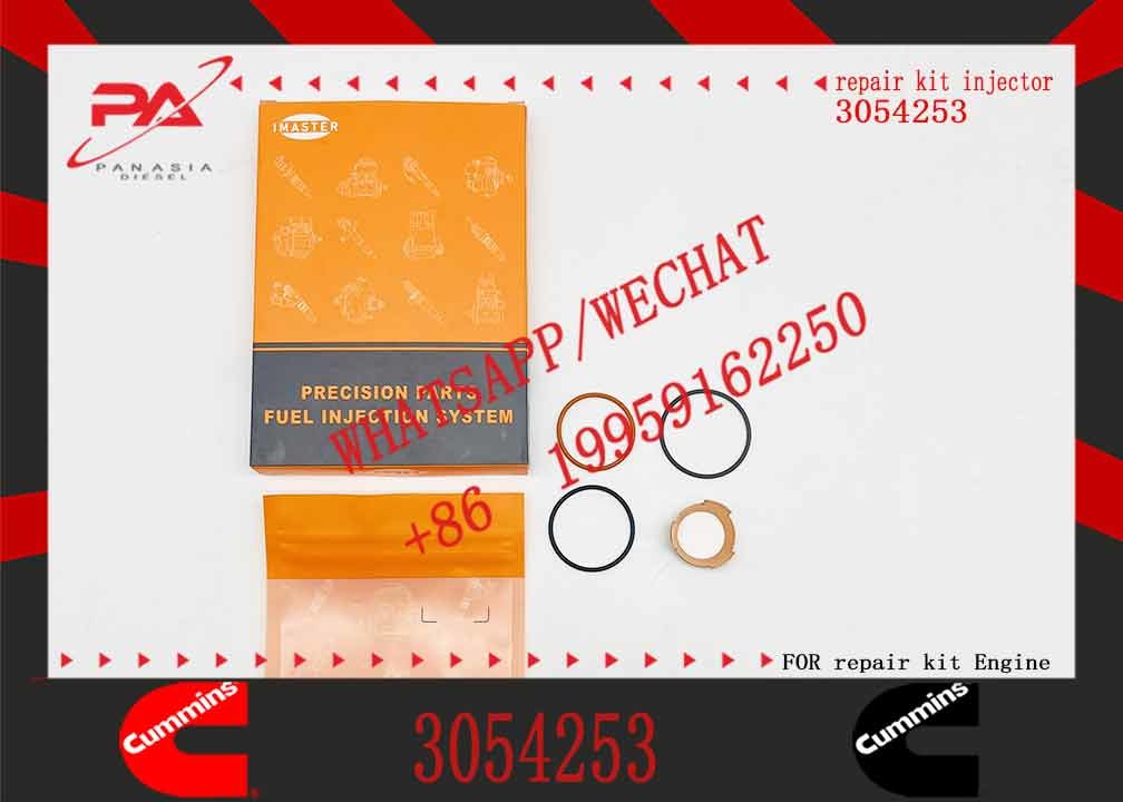 CUMMINS NT855 Diesel Engine Parts Injector Diesel Engine Part 3054253 CUMMINS Excavator Engines Cummins NT855 Nozzles