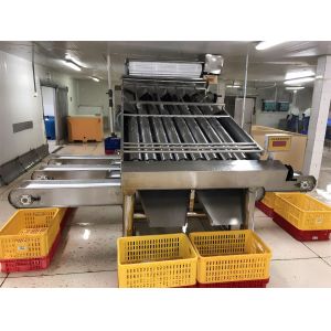 3P Multiscene Shrimp Grading Machine Automatic Multi Function