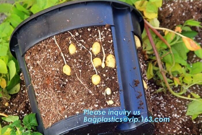 Transparent / Black / Silver / White color Plastic PE LDPE Agriculture Mulching Film,panda strawberry mulch film/black w