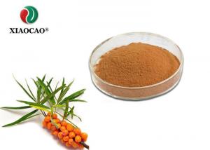 China Natural Sea Buckthorn Powder Bulk , Sea Buckthorn Berry Powder Powerful Antioxidant on sale