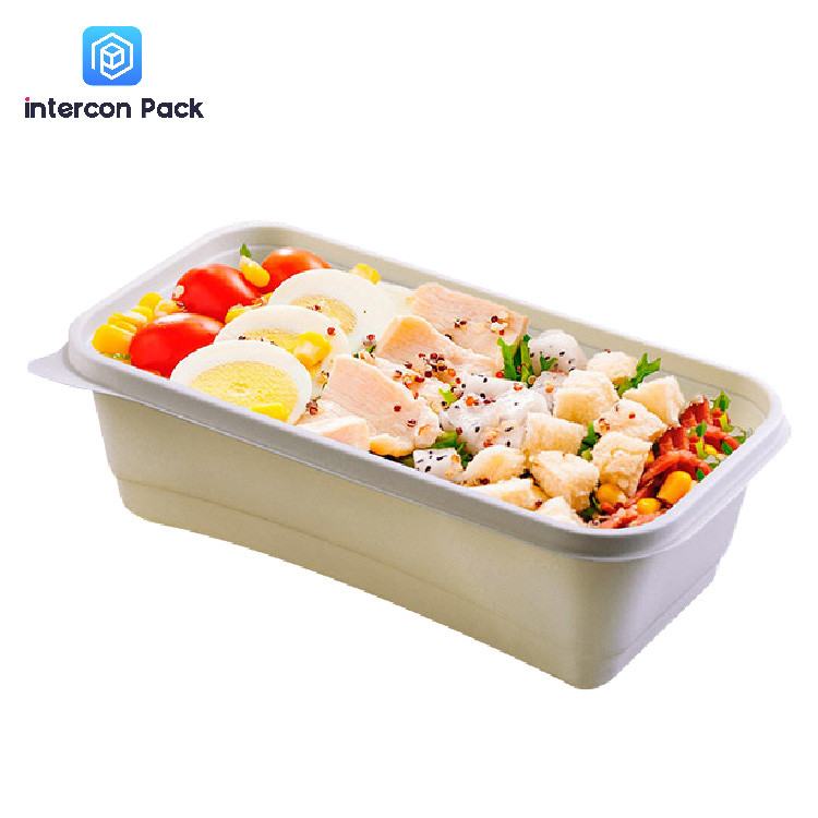 Takeaway Sugarcane Bagasse Food Container Biodegradable Disposable With Compartment