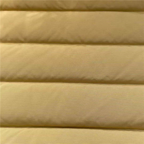 50D 50D Winter Jacket Fabric