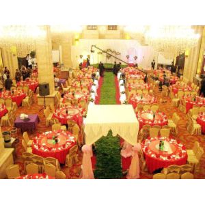 Indoor Artificial Turf Leisure Soft Antibacterial Durable Synthetic Grass