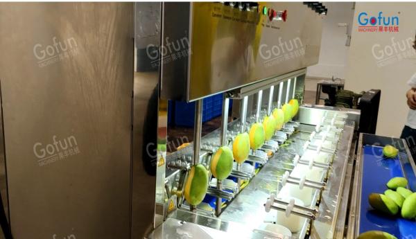 Intelligent Mango Peeling Machine Supplier For Papaya Apple Potato Peeling