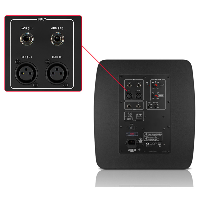 200W 10 Inch Subwoofer Speaker Powered Home Audio Speakers With Dual Audio Inputs