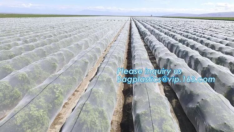 cheap and durable plastic colored anti mosquito netting/window insect screen,Industrial Agricultural Greenhouses use 2m