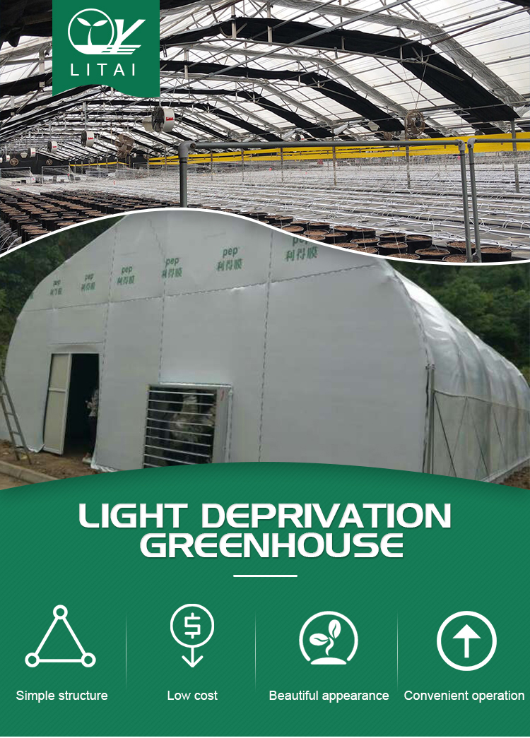 Light Deprivation Span Greenhouse for Mushroom 4.5m 6m Top Height and Roof Ventilation