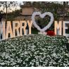 Buy cheap 5000 Hours Working Lifetime Marquee Light Up Letters Will You Marry Me Neon Sign from wholesalers