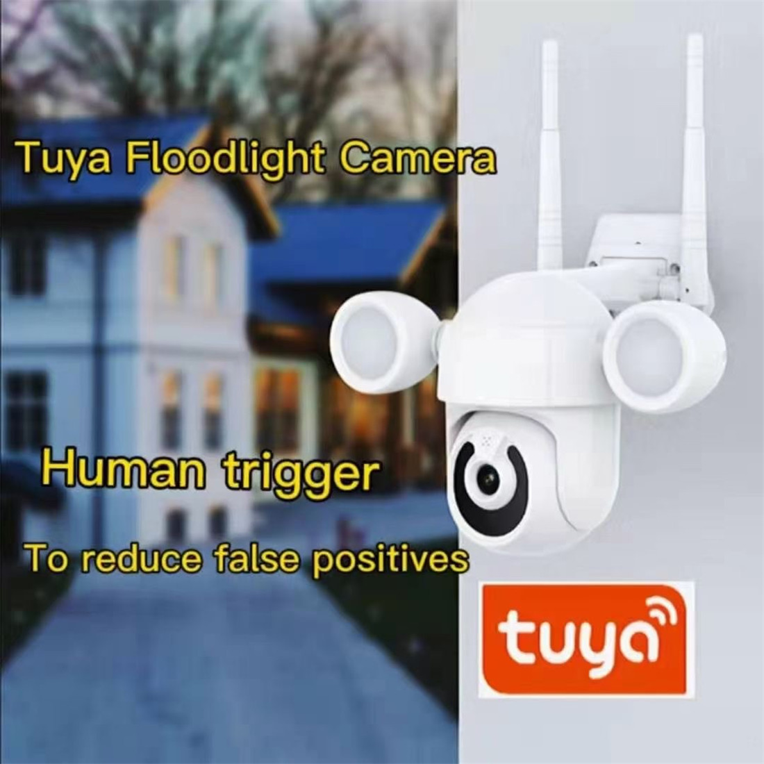 Smart Courtyard Light Wi-Fi Camera(KS-X8)