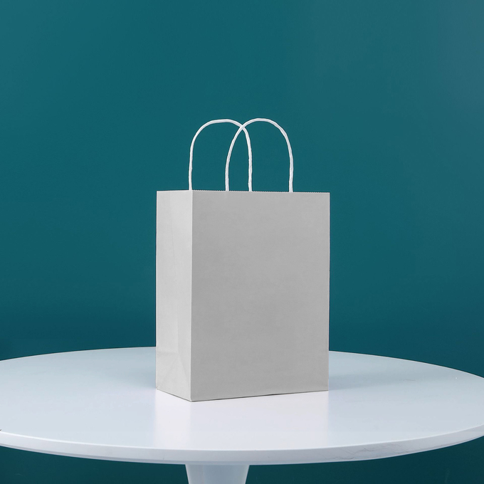 Vertical 130gsm Custom Kraft Paper Bags With Twisted Handles
