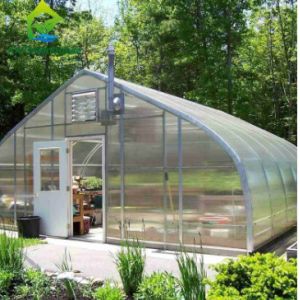 Plants Cultivation Single Span Polycarbonate PC Sheet Greenhouse with Stable