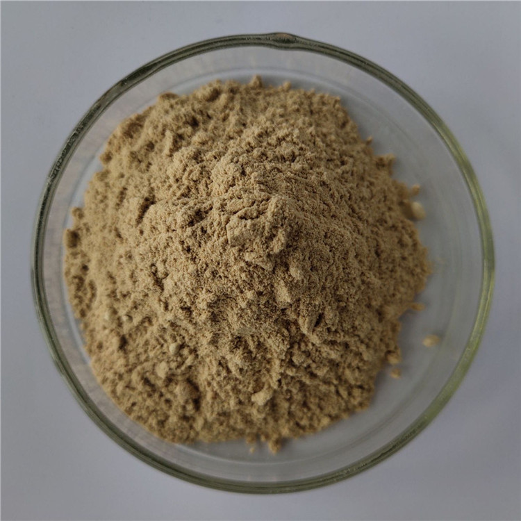 Food Grade health care product gotu kola extract