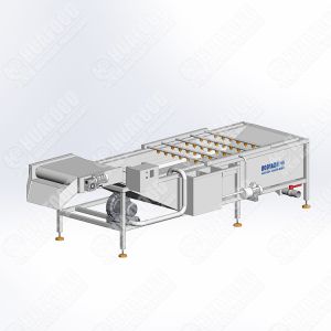 New Design Potato Washing And Grading Machine Appliances